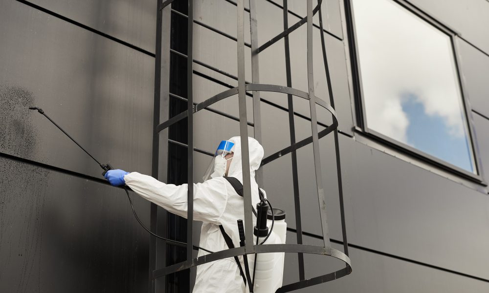 Worker Cleaning Black Facade